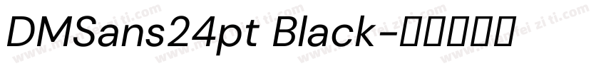 DMSans24pt Black字体转换